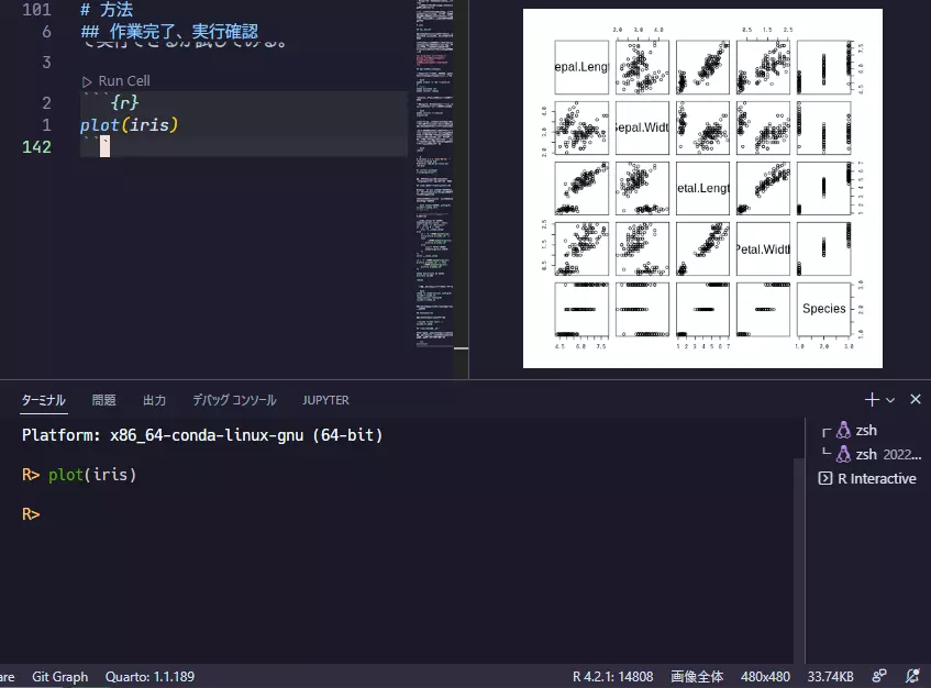 radian works in vscode
